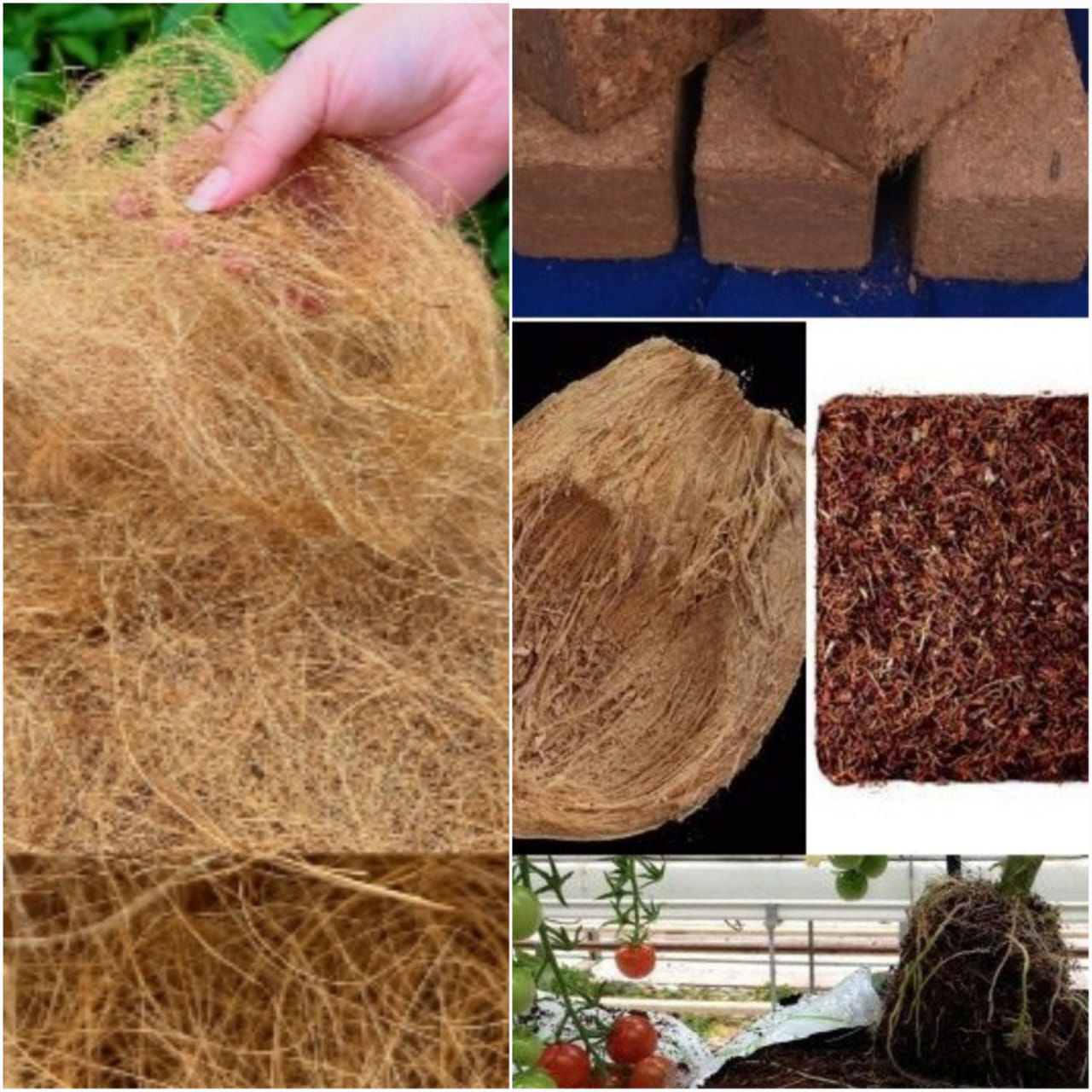 Cocofiber Cocopeat
